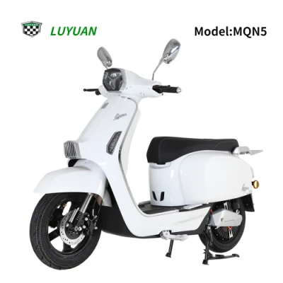 Mqn5 High Speed EEC Electric Motorcycle Large Single Battery